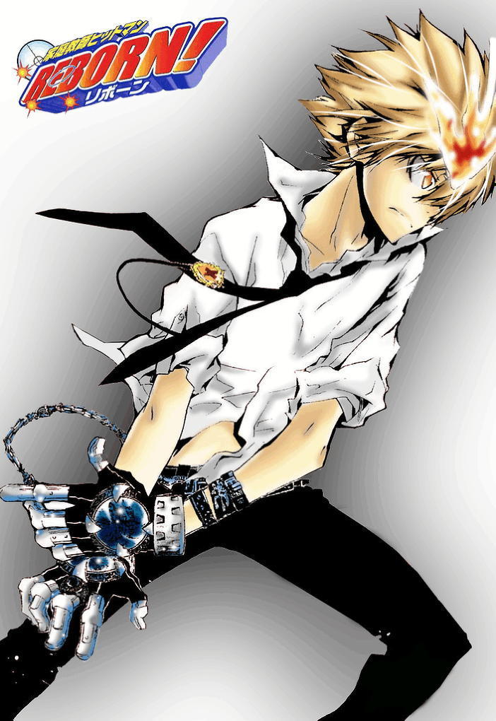 tsuna-kun-katekyo-hitman-reborn-5804419-702-1020